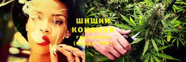 ECSTASY Пересвет