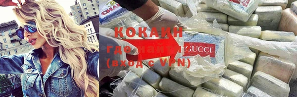 ECSTASY Пересвет