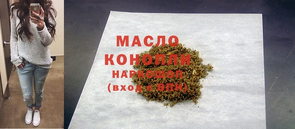 ECSTASY Пересвет