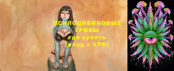 ECSTASY Пересвет